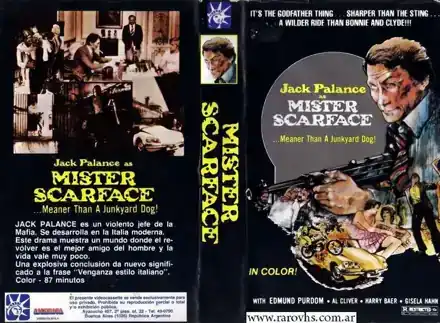 Mr. Scarface