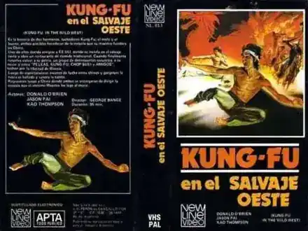 Kung Fu en el Salvaje Oeste