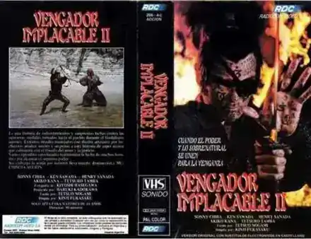 Vengador Implacable 2