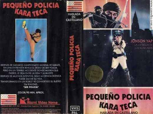 Carátula o foto de Pequeño Policía Karateca