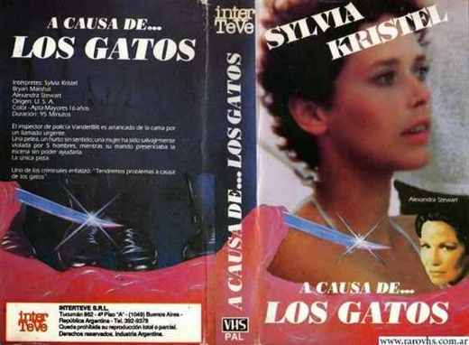 Carátula o foto de A causa de… los gatos