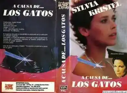 A causa de… los gatos