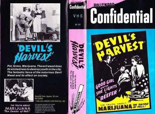 Carátula o foto de Descubrí «Assassin of Youth» y «Devil’s Harvest» : Clásicos del Cine de Propaganda contra la Marihuana