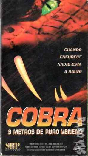 Carátula o foto de King Cobra