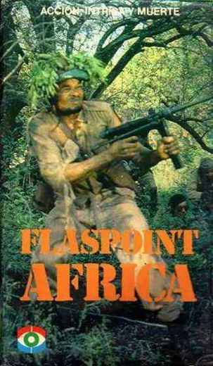 Carátula o foto de Flaspoint Africa [sic]