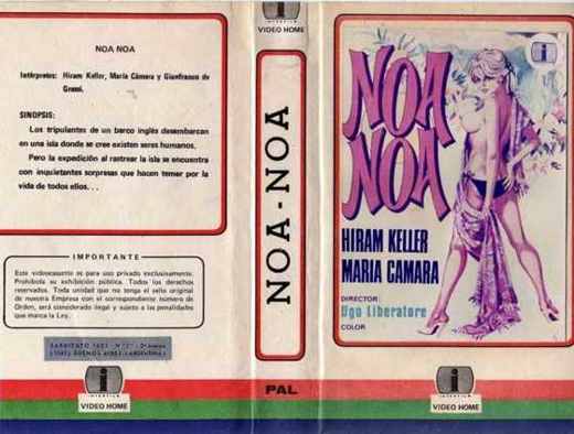 Carátula o foto de Noa Noa
