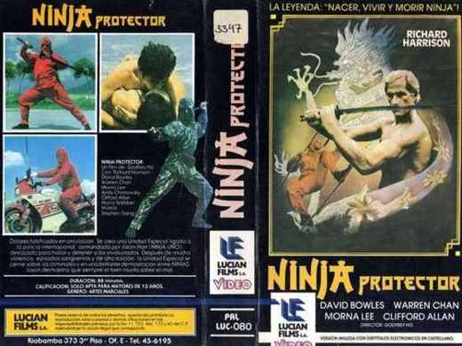 Carátula o foto de Ninja Protector
