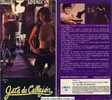 Gata de Callejón