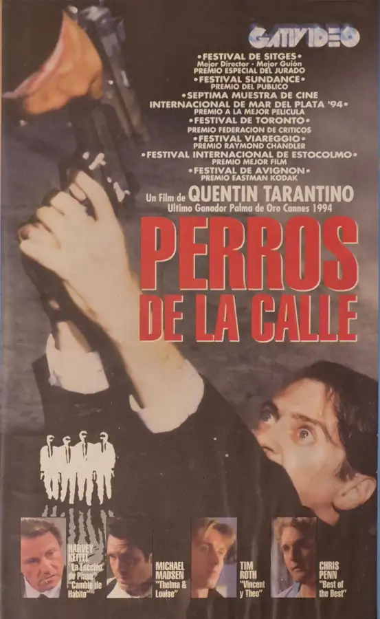 Perros de la calle