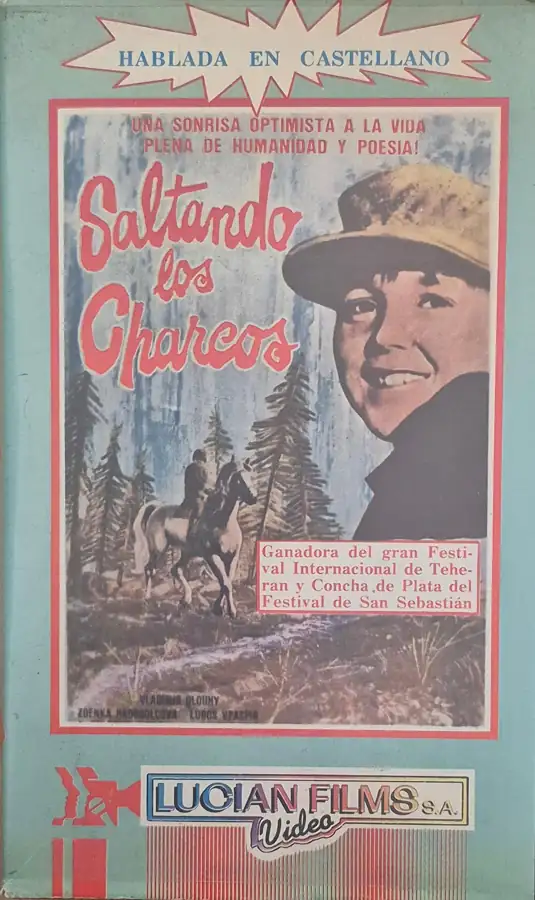 Saltando los charcos