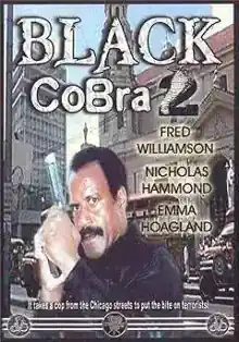 Chicago Cop